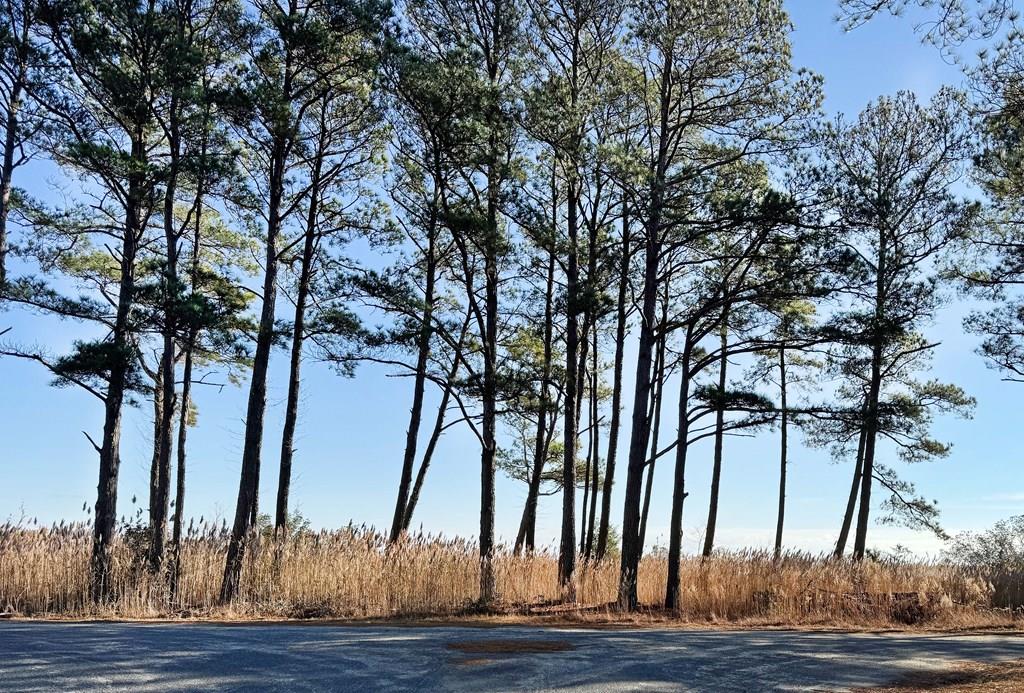 Lot 718 Castaway Dr #718, Greenbackville, Virginia image 1