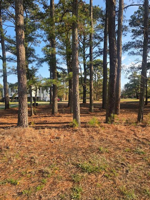Vacant Land For Sale - LOT 111 Hibiscus Dr #111<br/> Chincoteague, VA 23336