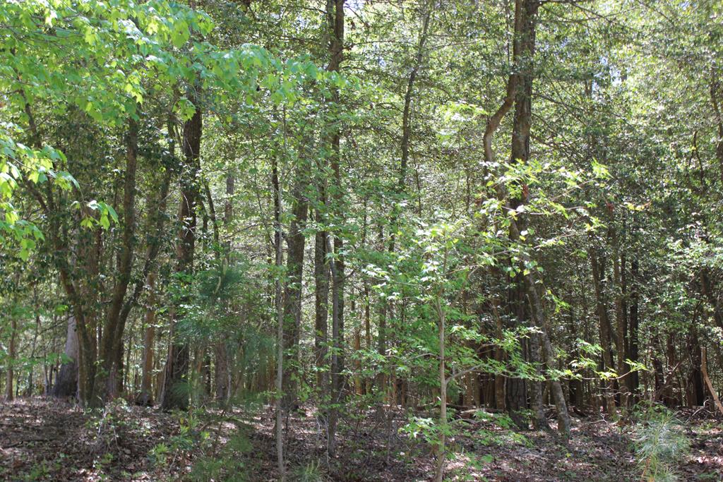 1780 Yeoman Ct #1780, Greenbackville, Virginia image 1