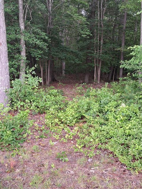 Vacant Land For Sale - LOT 34 Pitts Creek Rd #34<br/> Accomack County, New Church, VA 23415