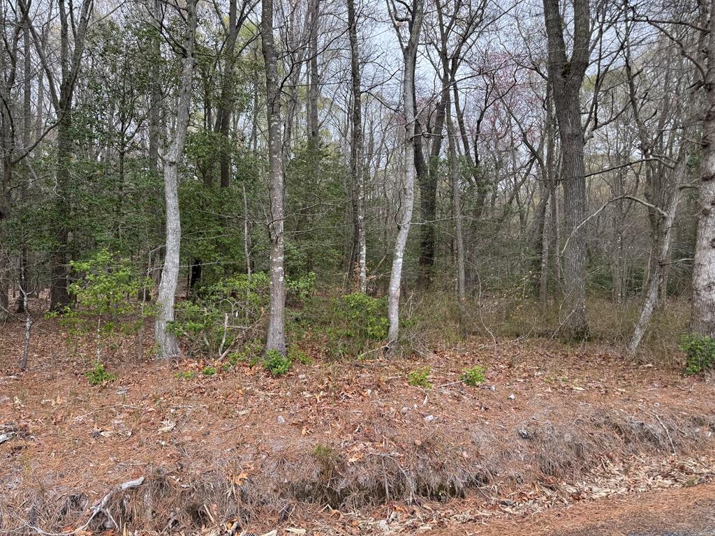 Lot 34 Pitts Creek Rd #34, New Church, Virginia image 1