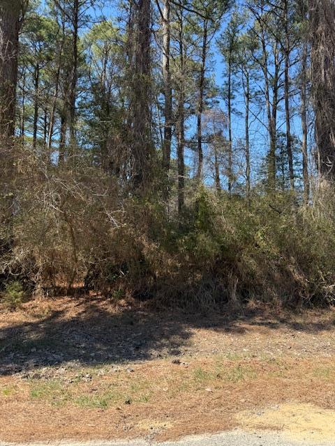 1102 Amidship Dr #1102, Greenbackville, Virginia image 1