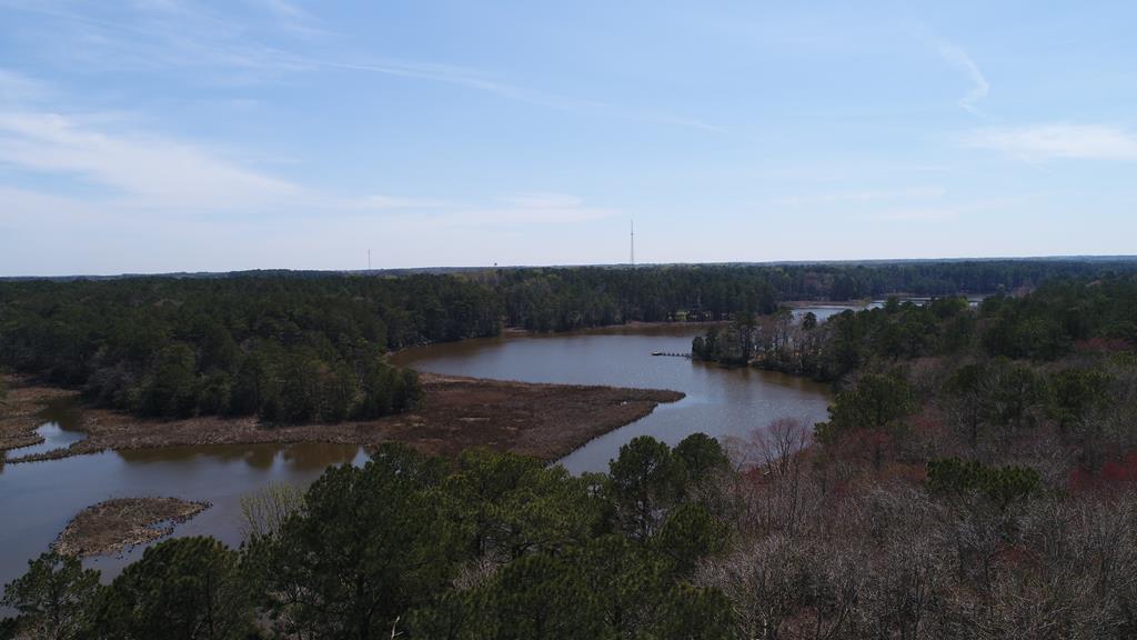 Lot 3 Terrapin Station Rd #3, Belle Haven, Virginia image 8