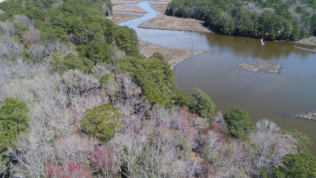 Lot 3 Terrapin Station Rd #3, Belle Haven, Virginia image 16