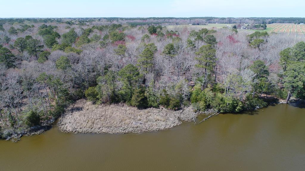 Lot 3 Terrapin Station Rd #3, Belle Haven, Virginia image 9