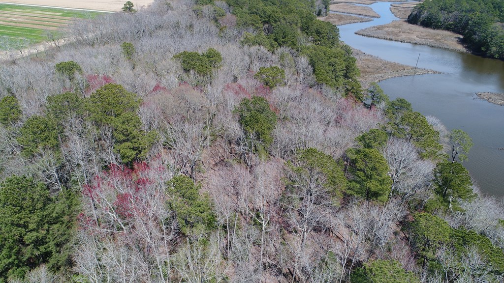 Lot 3 Terrapin Station Rd #3, Belle Haven, Virginia image 15