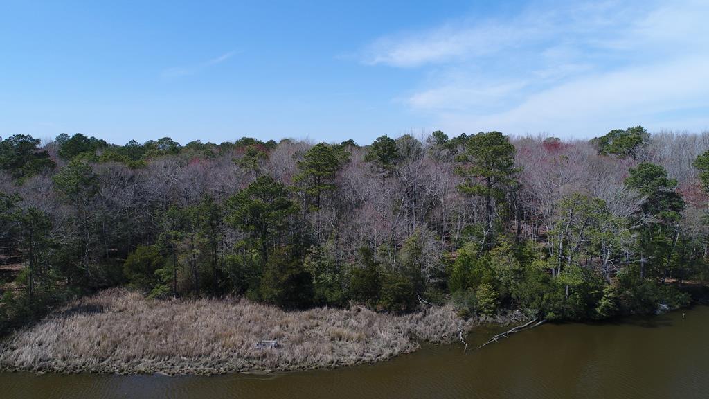 Lot 3 Terrapin Station Rd #3, Belle Haven, Virginia image 11