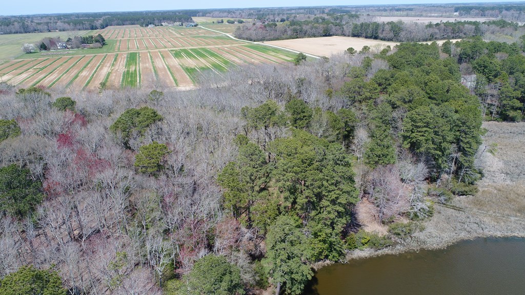 Lot 3 Terrapin Station Rd #3, Belle Haven, Virginia image 14