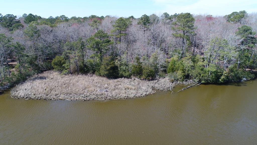 Lot 3 Terrapin Station Rd #3, Belle Haven, Virginia image 10