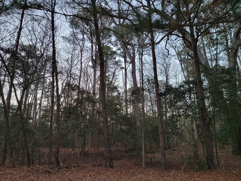 Vacant Land For Sale - LOT 7A1 Wilsonia Shores Dr #7A1<br/> Machipongo, VA 23405