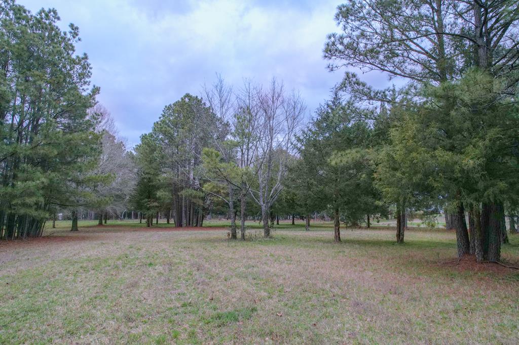 Lot B Holly Bluff Drive #B, Franktown, Virginia image 16