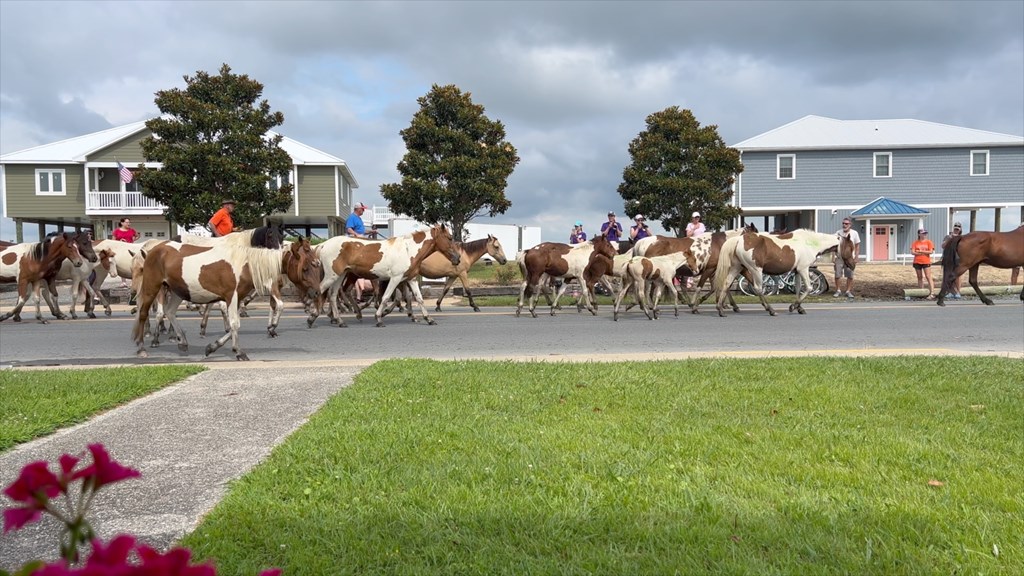 3508 Main St, Chincoteague, Virginia image 2