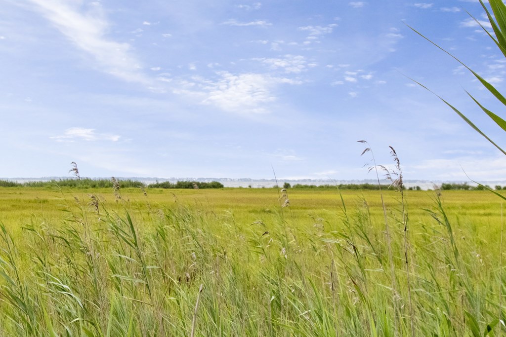 LOT 43 Neptune #43, Greenbackville, Virginia image 4