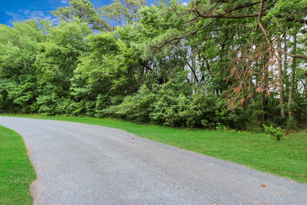 LOT 43 Neptune #43, Greenbackville, Virginia image 3
