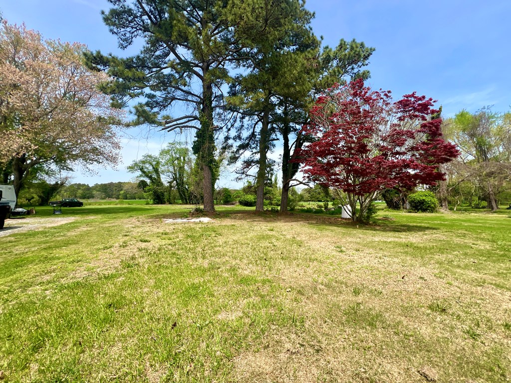 35486 Upshur Neck Rd, Quinby, Virginia image 5