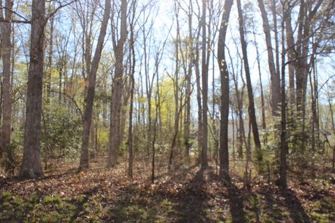 Vacant Land For Sale - 2296 Buccaneer Blvd #2296<br/> Accomack County, Greenbackville, VA 23356