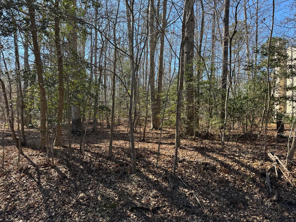 Lot 2378 Brigantine Blvd #2378, Greenbackville, Virginia image 1