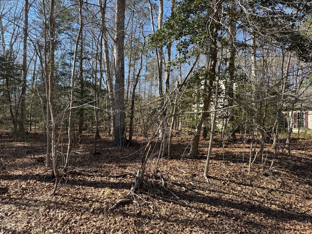 Lot 2378 Brigantine Blvd #2378, Greenbackville, Virginia image 2