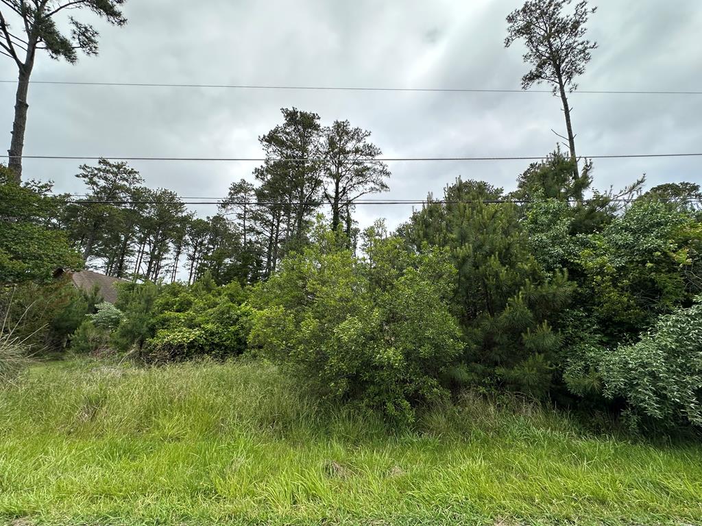 5435 Oak Dr #19F, Chincoteague, Virginia image 1