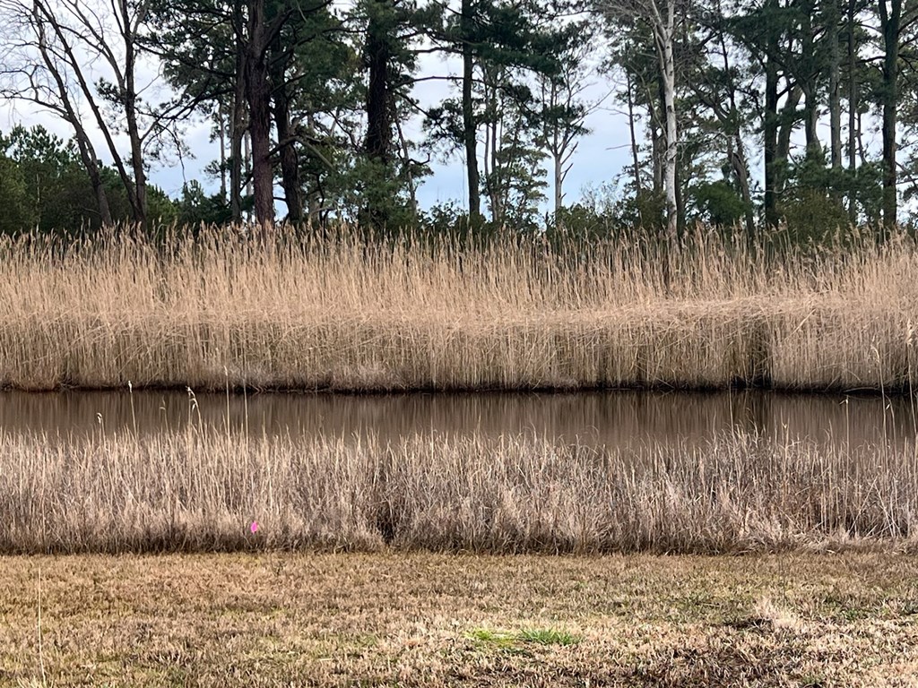 Main St #76, Chincoteague, Virginia image 4