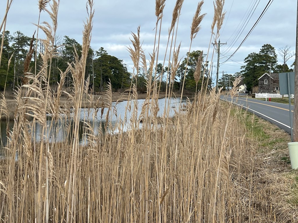 Main St #76, Chincoteague, Virginia image 2