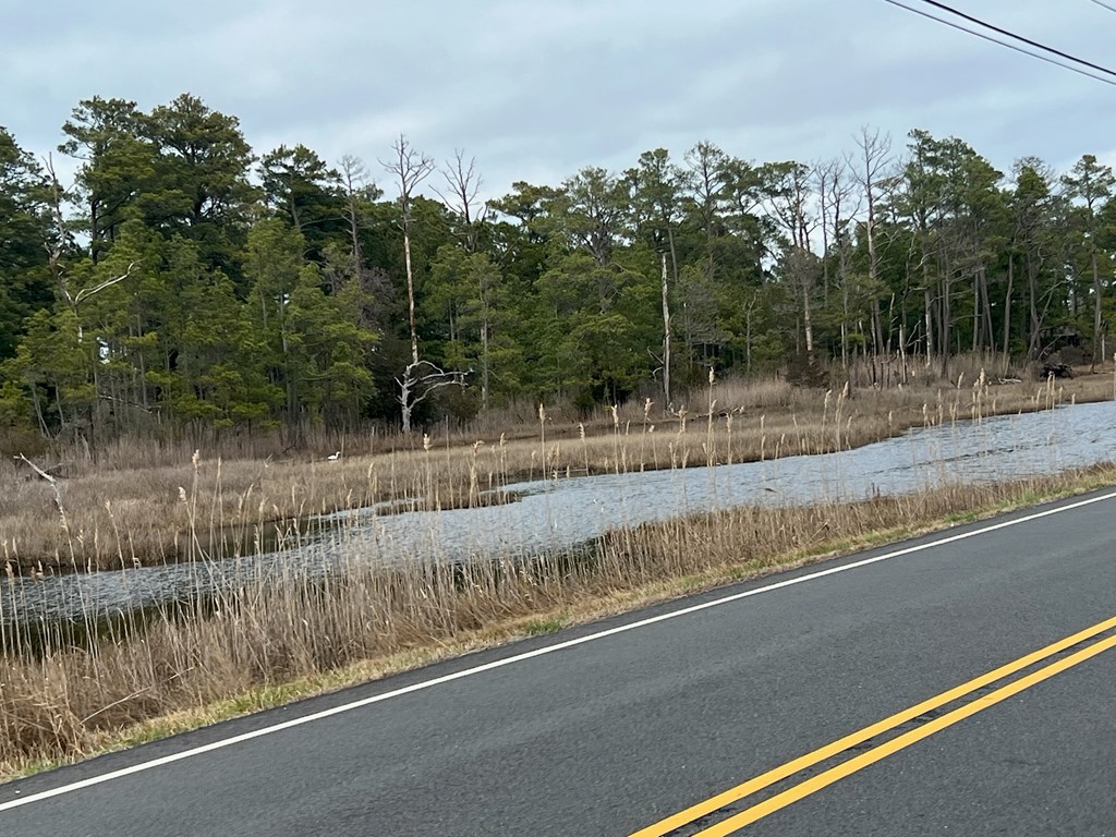 Main St #76, Chincoteague, Virginia image 3