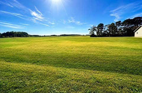 Vacant Land For Sale - 90 Olde Mill Lane #90<br/> Accomack County, New Church, VA 23415