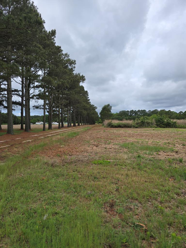 00 Bunting Point Rd, Wachapreague, Virginia image 3