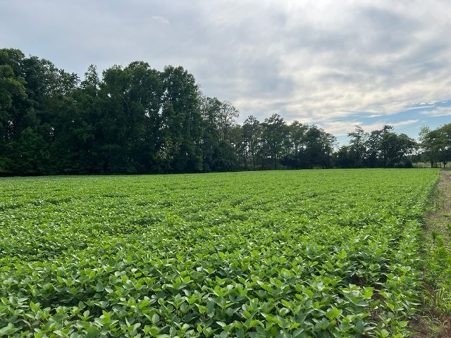 LOT 22C Bullbeggar Rd #22, Withams, Virginia image 2