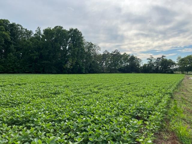 LOT 22C Bullbeggar Rd #22, Withams, Virginia image 1