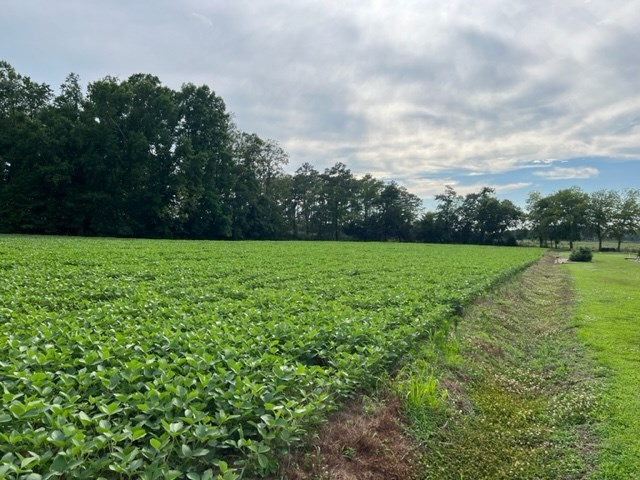 LOT 22C Bullbeggar Rd #22, Withams, Virginia image 3