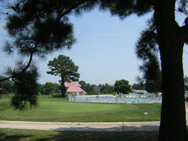 L787 Seaview St #787, Greenbackville, Virginia image 15