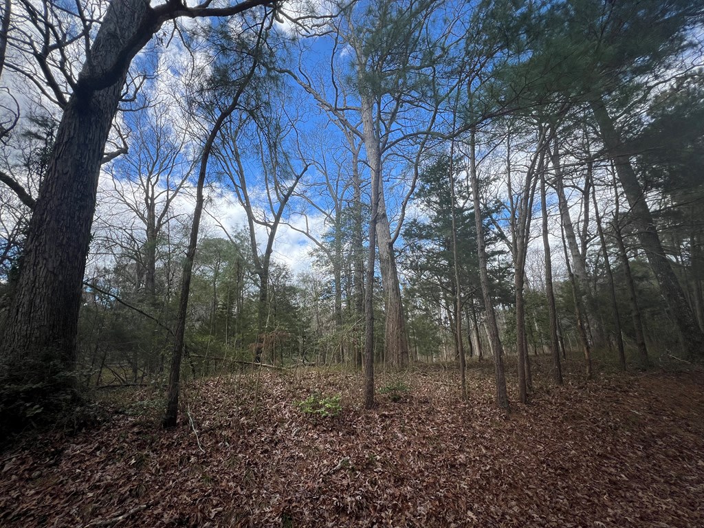 LOT 3A Harbour Ln #3A, Eastville, Virginia image 5