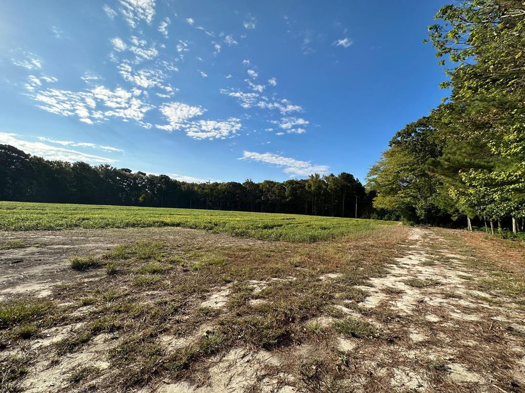 Lot B1 Clam Court #B1, Belle Haven, Virginia image 7