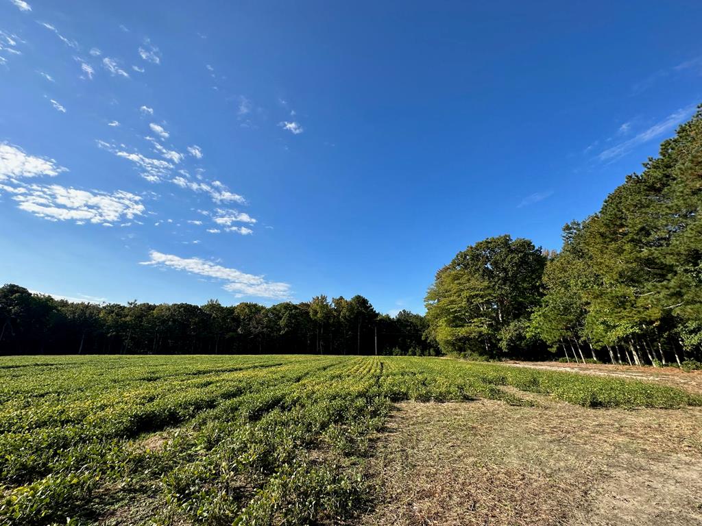 Lot B1 Clam Court #B1, Belle Haven, Virginia image 6