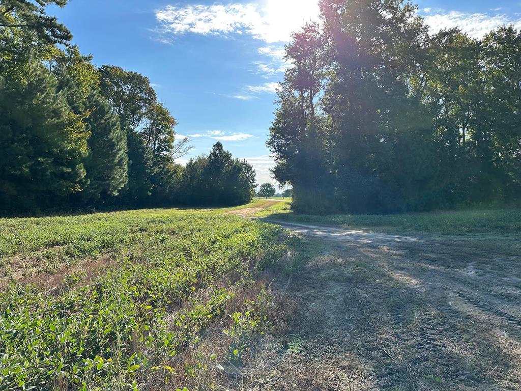 Lot B1 Clam Court #B1, Belle Haven, Virginia image 9