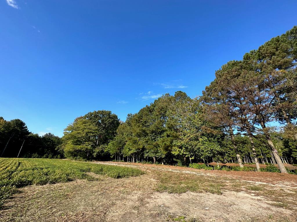 Lot B1 Clam Court #B1, Belle Haven, Virginia image 1