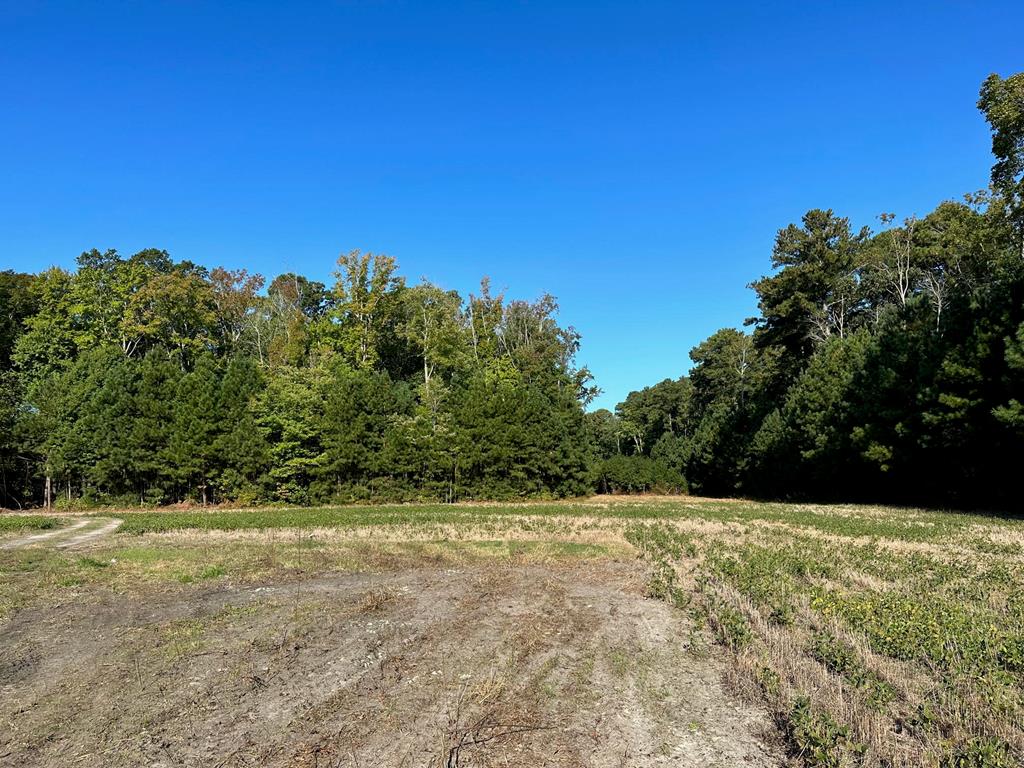 Lot B1 Clam Court #B1, Belle Haven, Virginia image 3