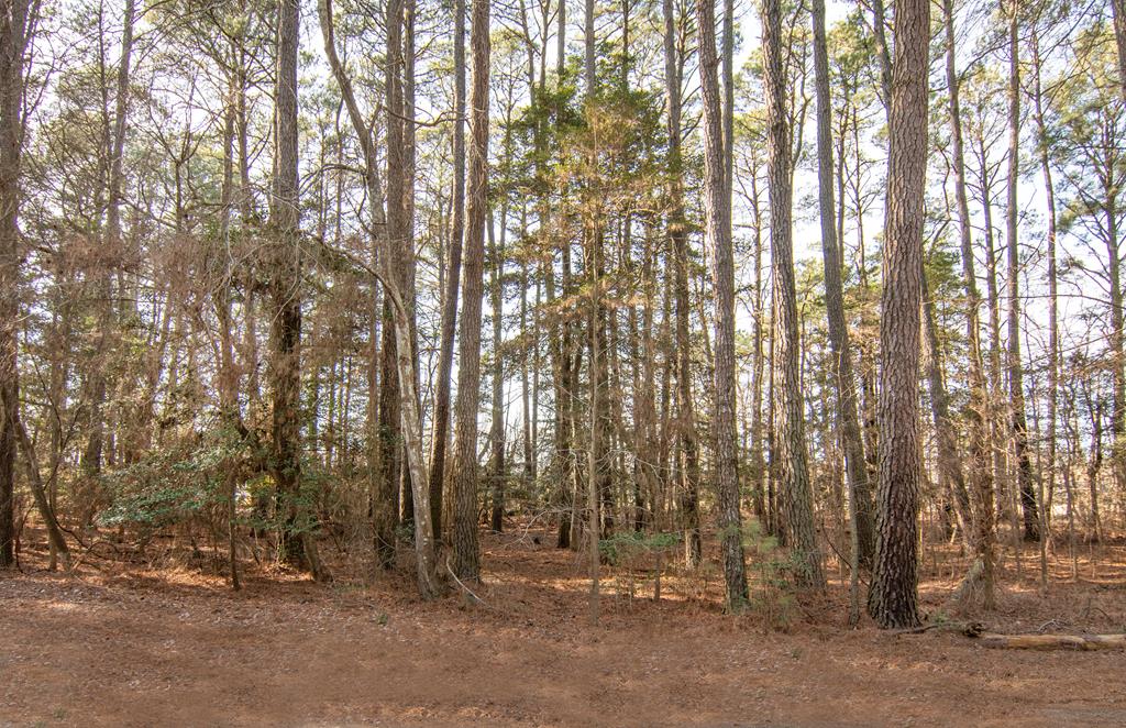 Lot 484 Dry Dock Ct, Greenbackville, Virginia image 5