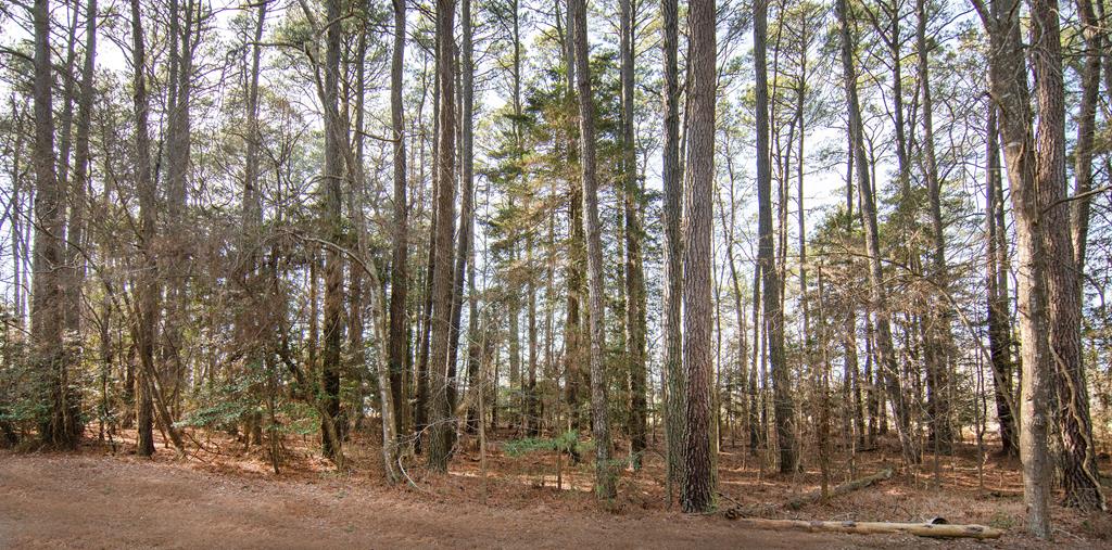 Lot 484 Dry Dock Ct, Greenbackville, Virginia image 4