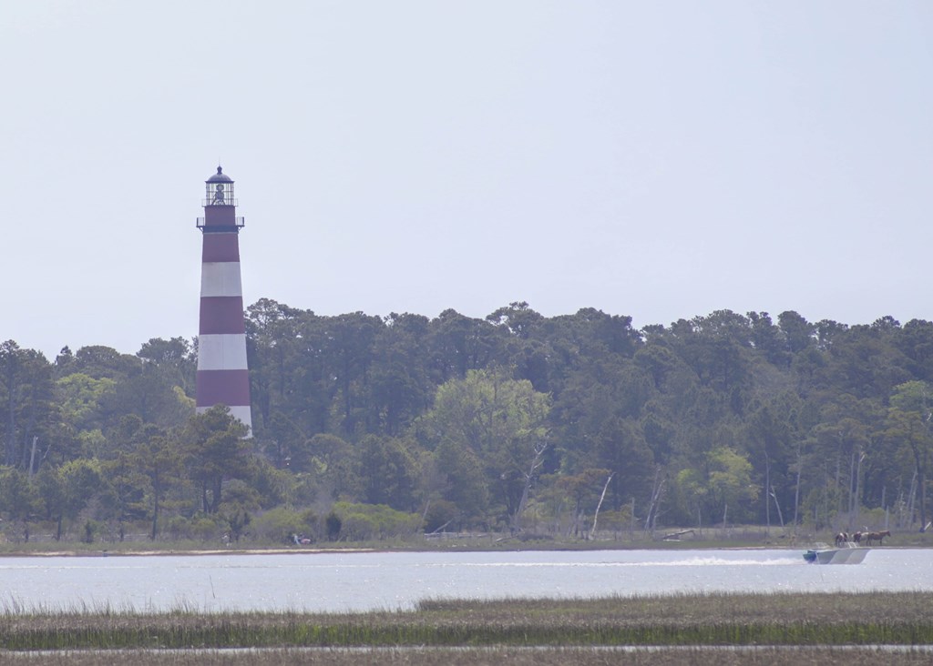 7622 East Side Rd, Chincoteague, Virginia image 6