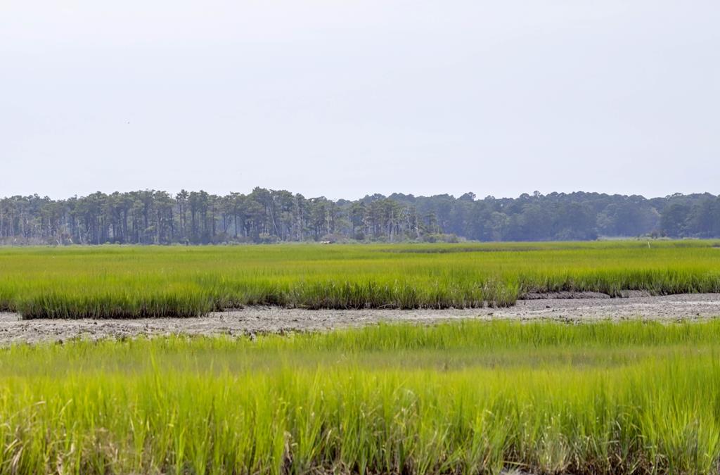 7622 East Side Rd, Chincoteague, Virginia image 49