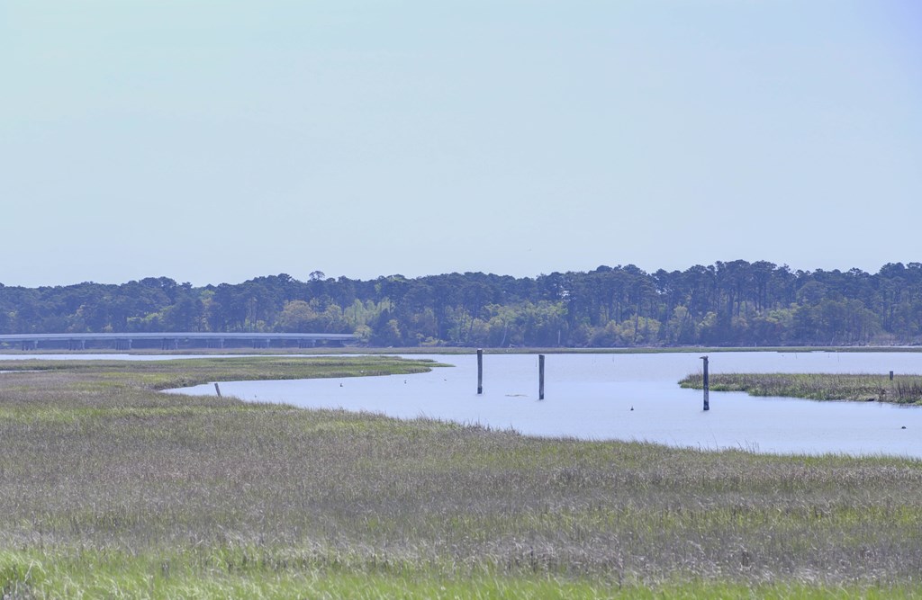 7622 East Side Rd, Chincoteague, Virginia image 7