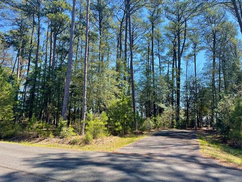 Vacant Land For Sale - LOT 3 Oceanview Court #3<br/> Accomac, VA 23301