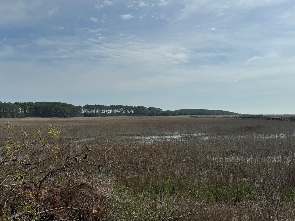 Lot 3 Oceanview Court #3, Accomac, Virginia image 7