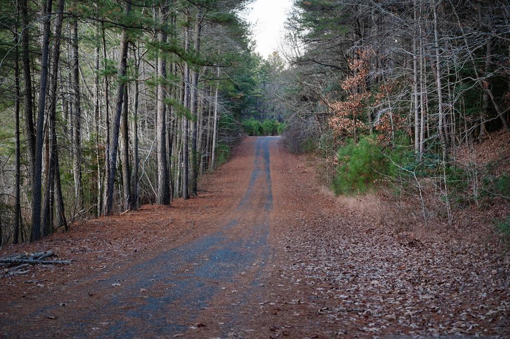 Lot 2123 Buccaneer Blvd, Greenbackville, Virginia image 14