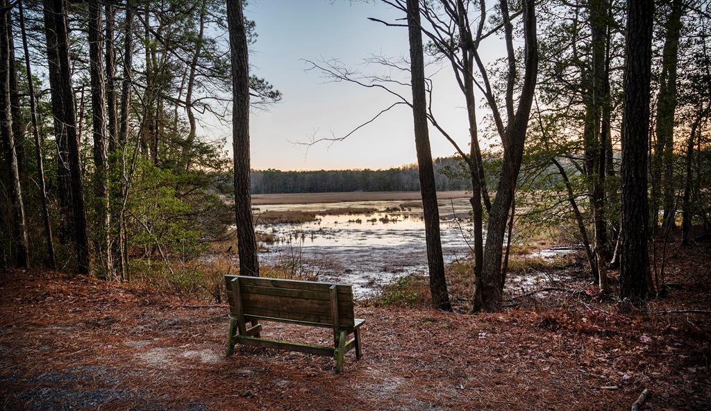 Lot 2123 Buccaneer Blvd, Greenbackville, Virginia image 12