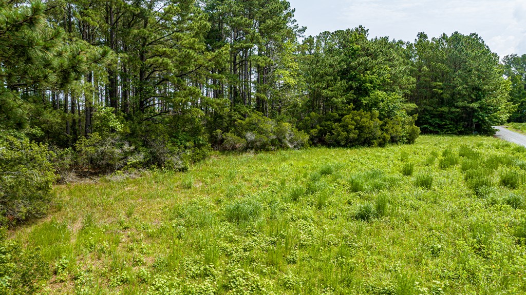 Lot 2 Wise Point Ln #2, Onancock, Virginia image 11