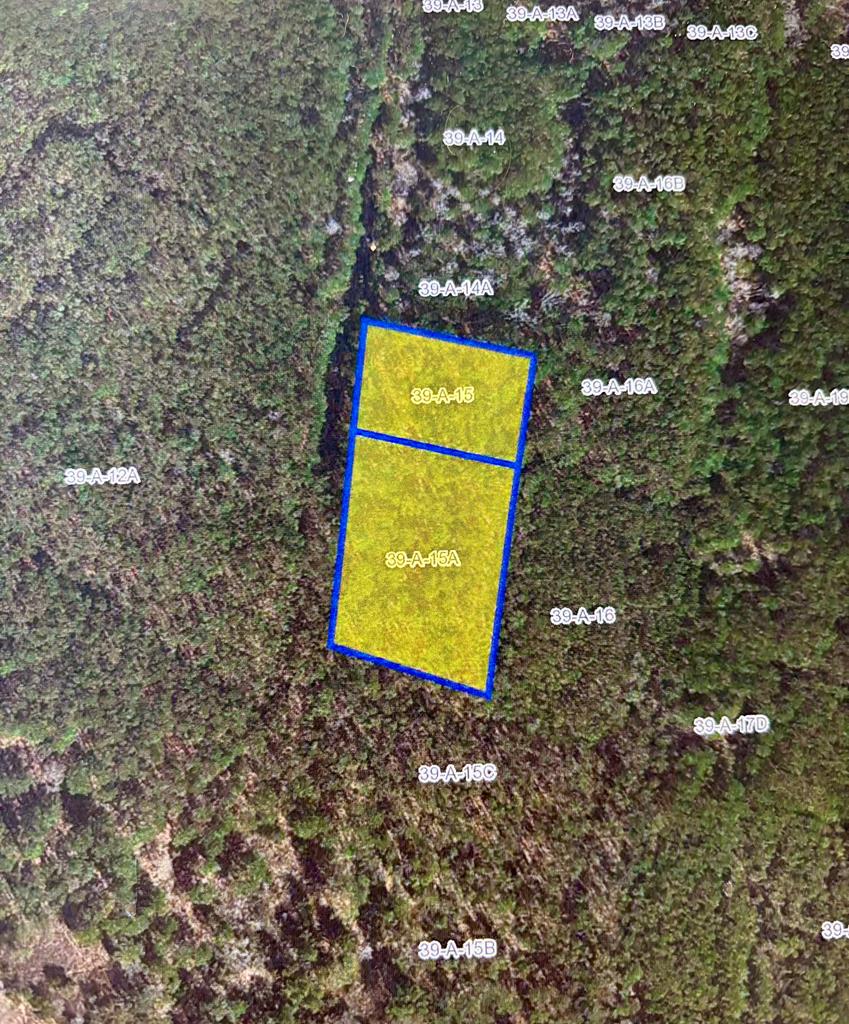 Lot Belinda Rd #N/A, Hallwood, Virginia image 1