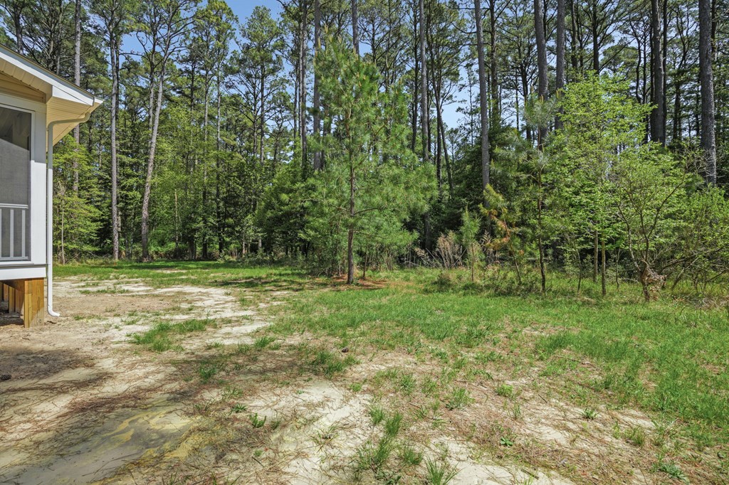 3047 Dingy Ct, Greenbackville, Virginia image 50